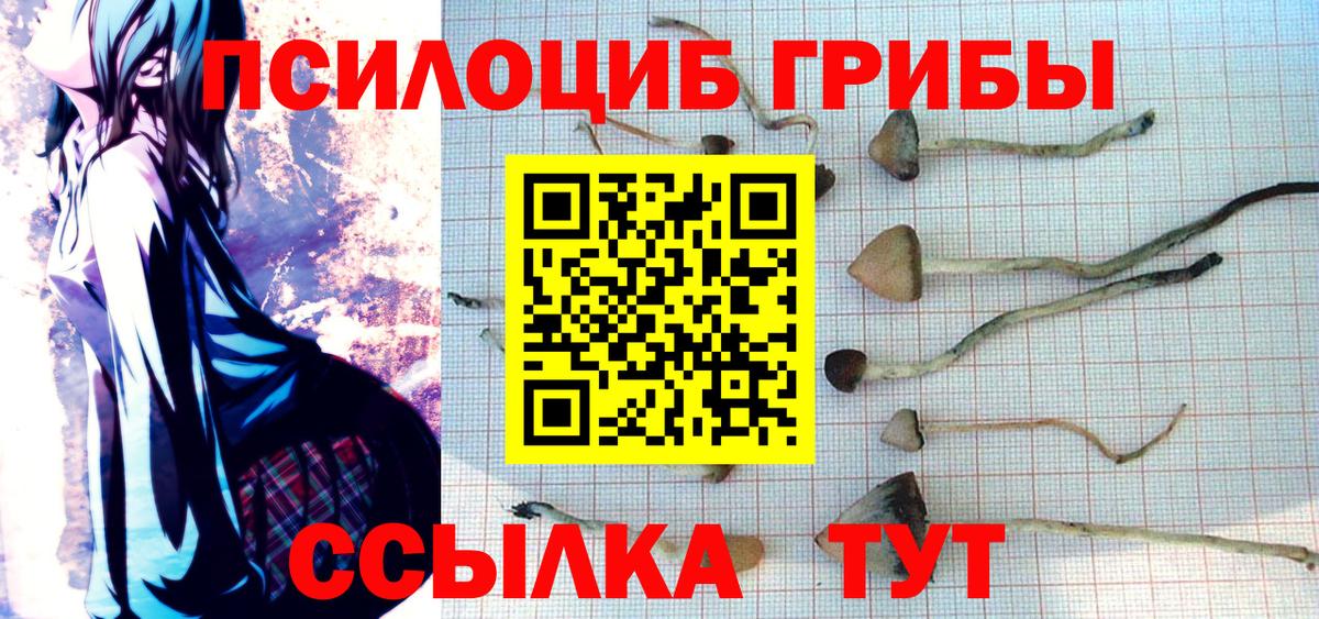 Галлюциногенные грибы Magic Shrooms  Вход с VPN  Мурманск  Псилоцибиновые грибы MAGIC MUSHROOMS 